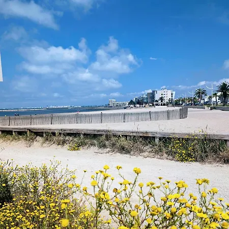 Διαμέρισμα Les Spas De La Mer, Appart&spa Canopee, 100m De La Plage, Le Grau-du-Roi