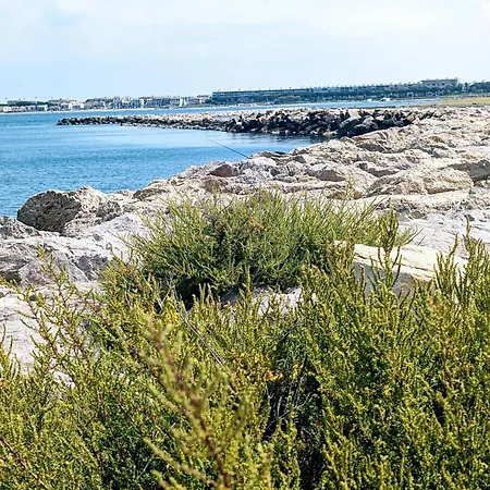 Les Spas De La Mer, Appart&spa Canopee, 100m De La Plage, Appartement